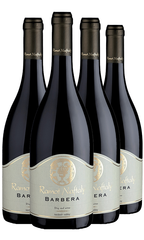 רביעיית רמות נפתלי ברברה